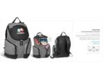 Icon Backpack Cooler Beach and Outdoor Items