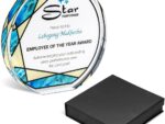 Altitude Distinction Award Awards