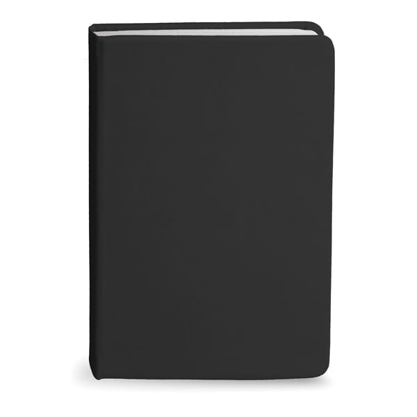 Bingham Notebook 4