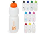 Alpine Water Bottle – 800ML Back to School