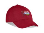 Fairway Cap – 6 Panel Headwear and Accessories