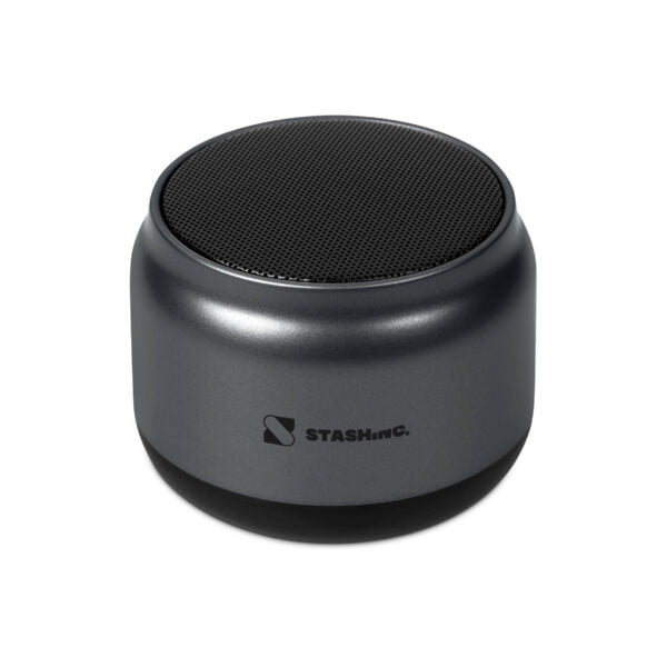 Swiss Cougar San Francisco Bluetooth Speaker Just Arrived 3