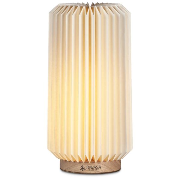 Okiyo Masumi Wood and Paper LED Lamp Items launched in 2024 3