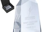 Altitude Milestone Award Awards