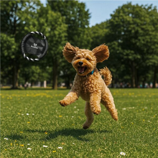 Altitude Catch Pet Frisbee Items launched in 2024 3