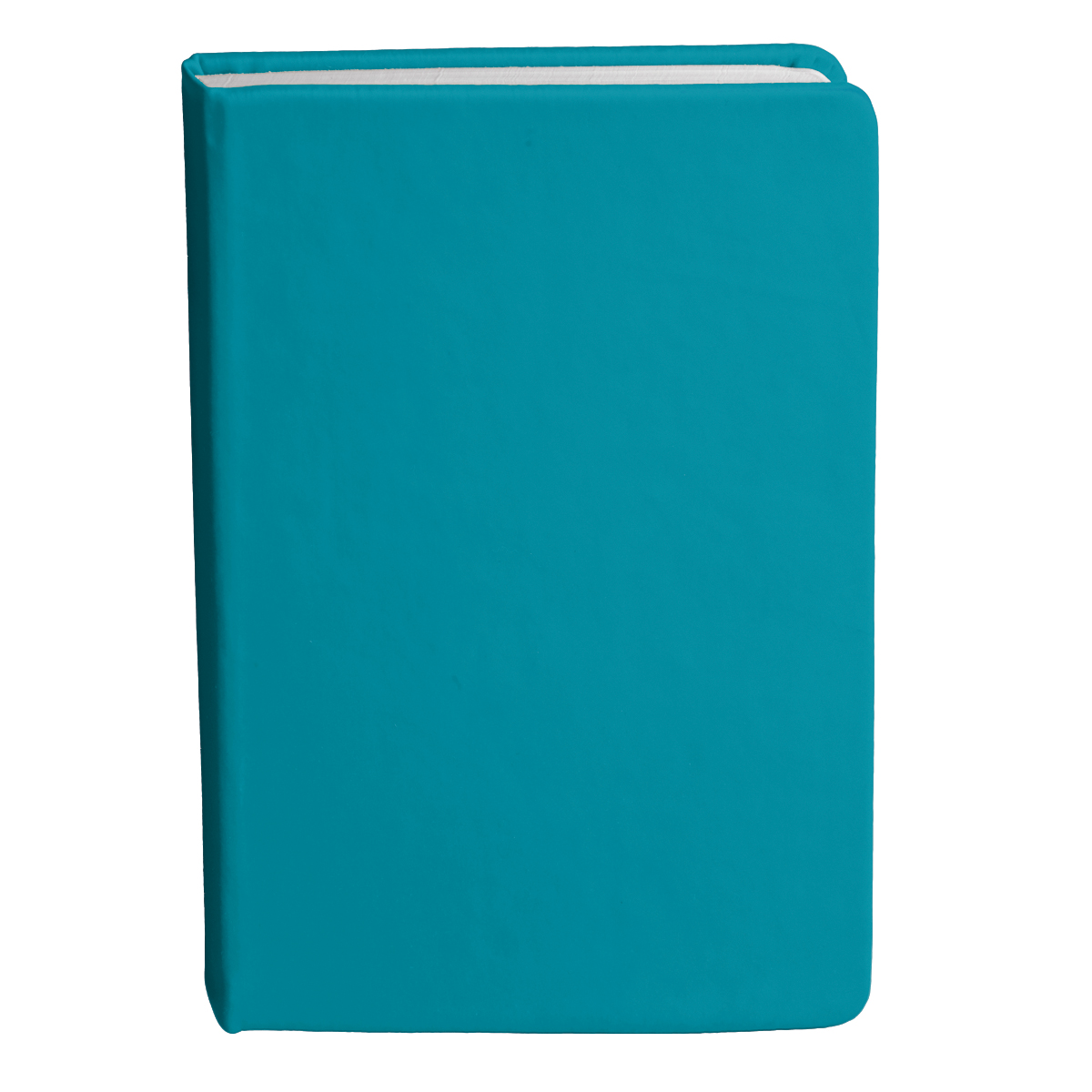 Bingham Notebook Bingham Notebook Corporate Gifting 11