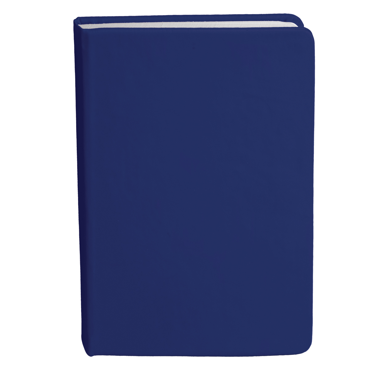 Bingham Notebook Bingham Notebook Corporate Gifting 3