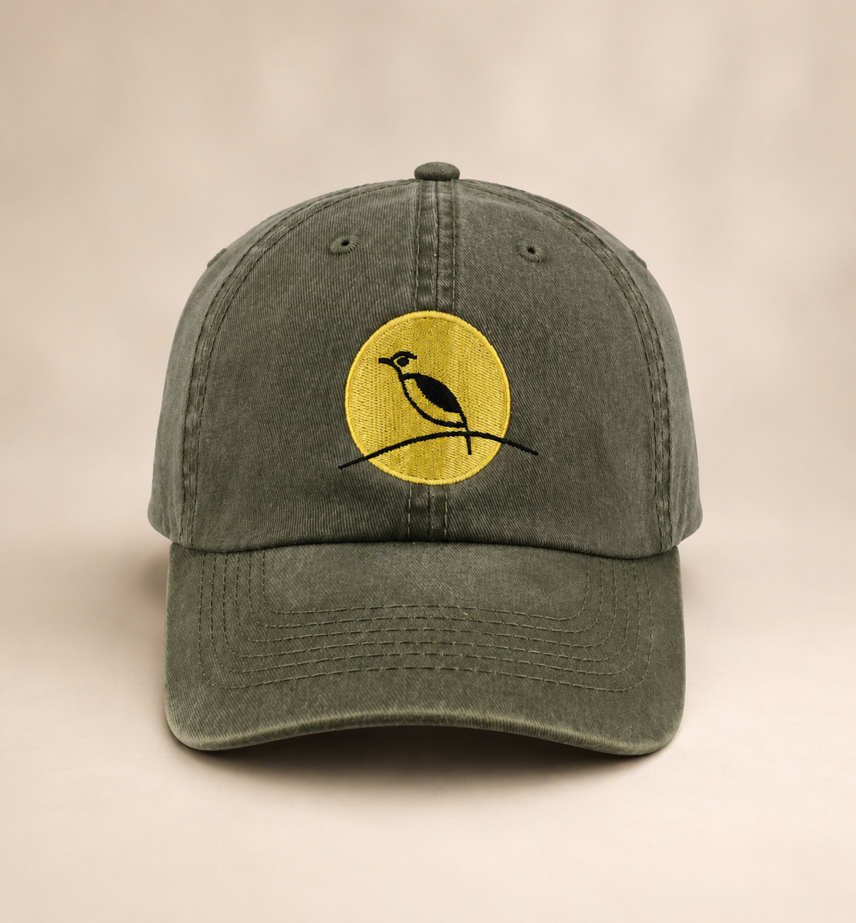 You are currently viewing Branded Caps